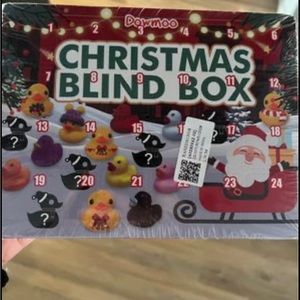 Christmas rubber ducky surprise box